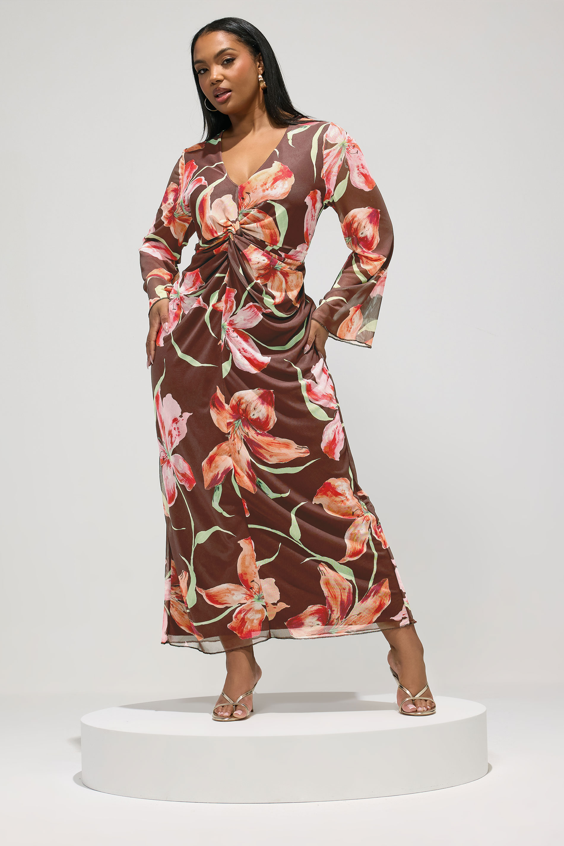 YOURS LONDON Plus Size Brown Floral Mesh Maxi Dress | Yours Clothing 1
