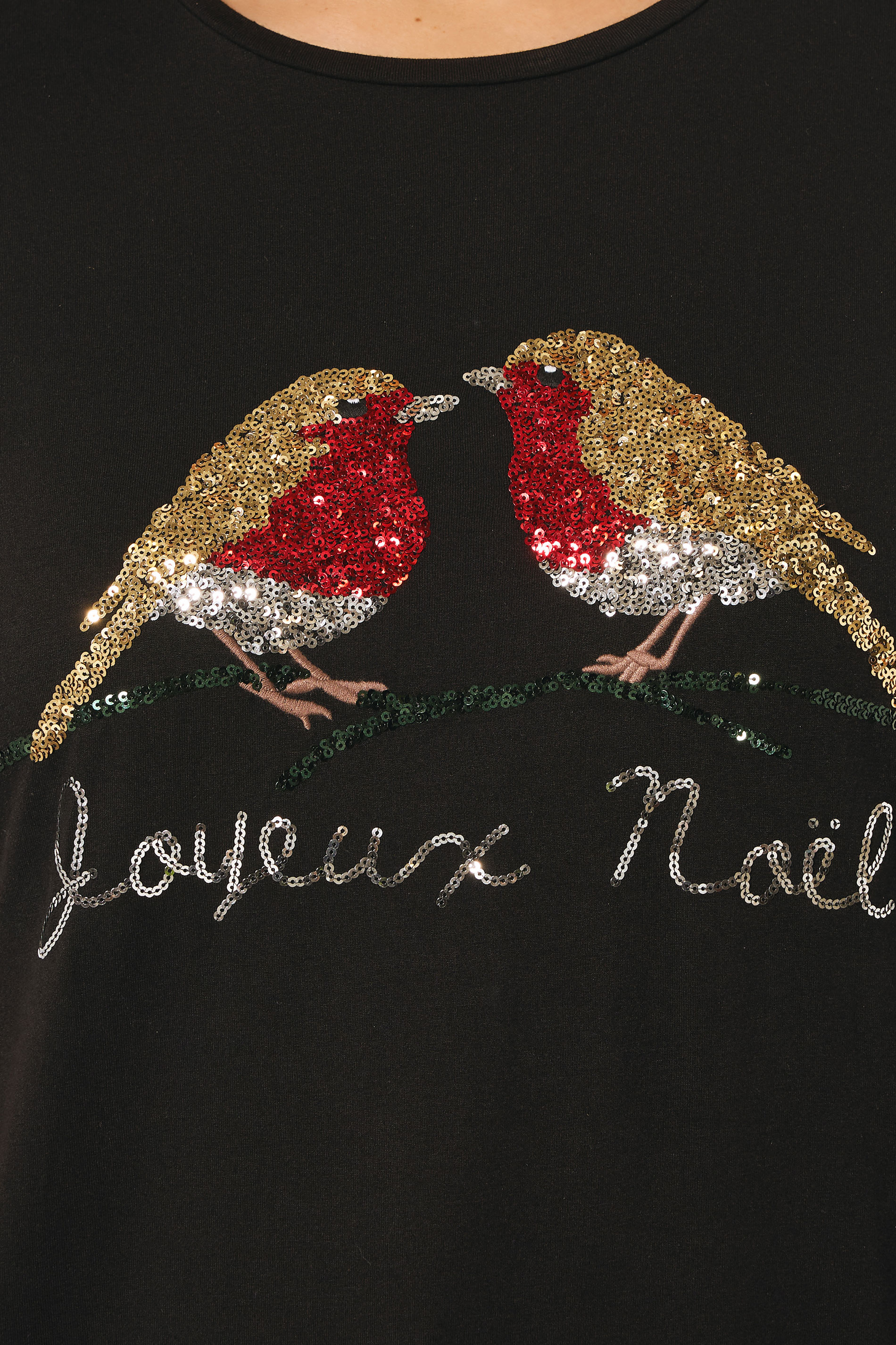 EVANS Plus Size Black Sequin Robin Christmas T-Shirt | Evans 4