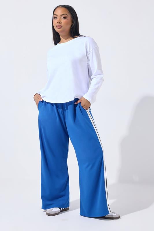  LIMITED COLLECTION Curve Blue Stripe Wide Leg Trousers