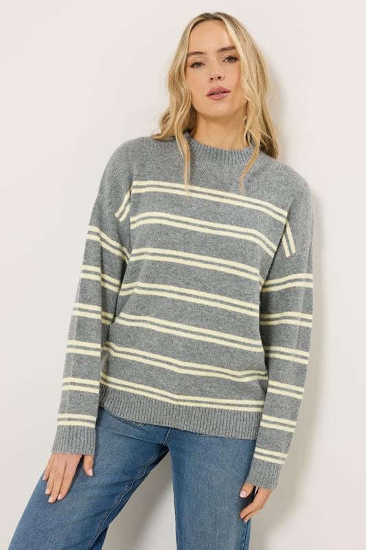  LTS Tall Grey & Yellow Stripe Jumper