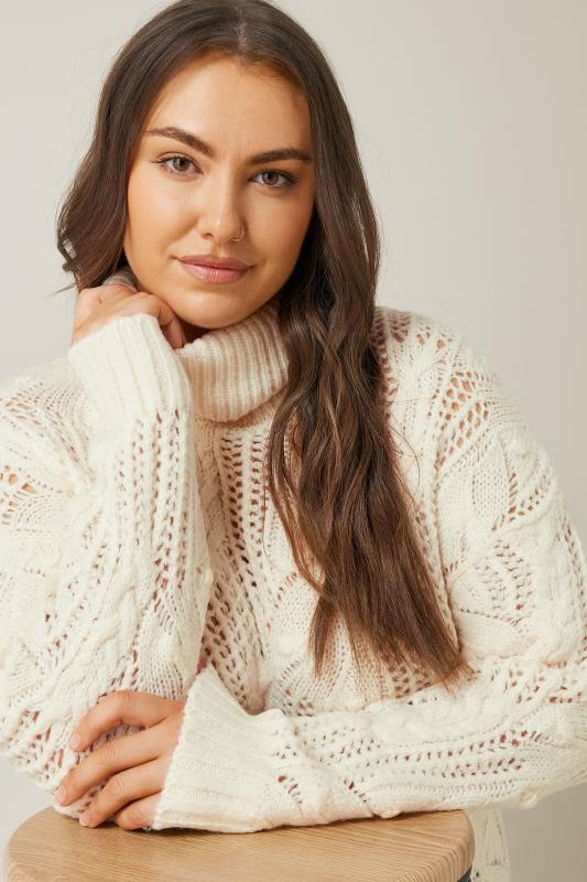 EVANS Plus Size White Roll Neck Stitch Detailing Knitted Jumper | Evans 2