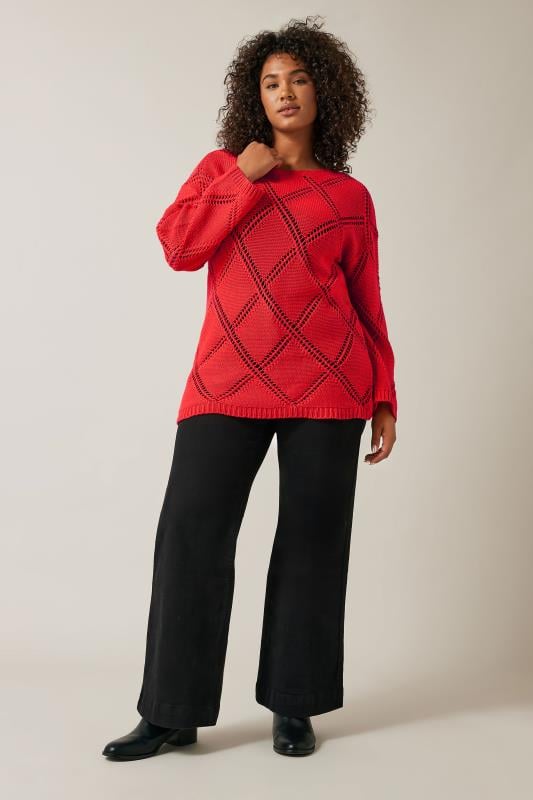 EVANS Plus Size Red Diamond Pointelle Jumper | Evans 2