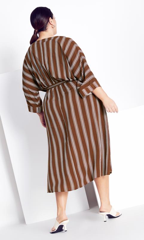 Casablanca Stripe Clove Dress 4