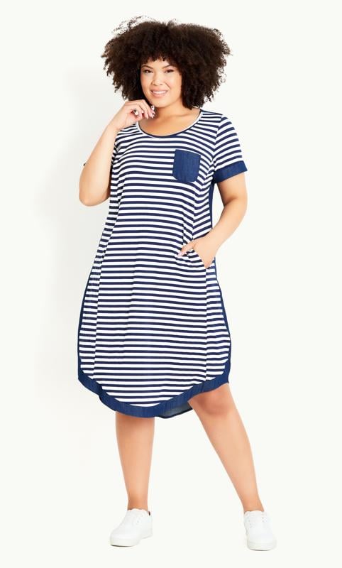 Sunshine Navy Stripe Dress 1