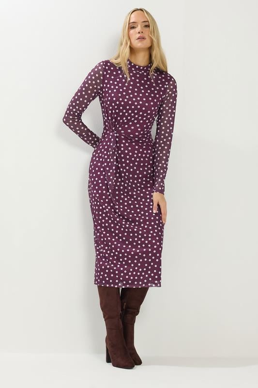  LTS Tall Berry Red Polka Dot Mesh Long Sleeve Maxi Dress