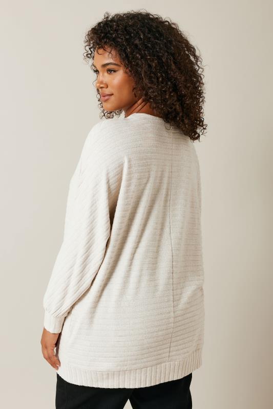 EVANS Curve Cream Soft Touch Jumper | Evans 2