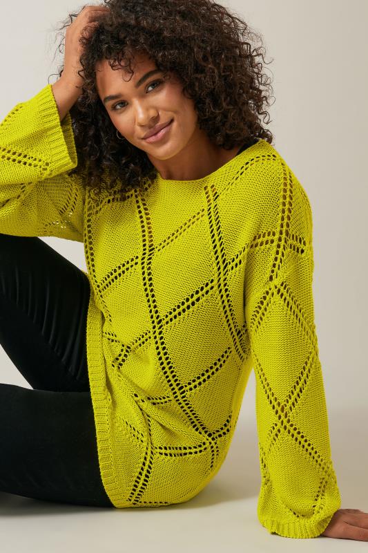 EVANS Plus Size Chartreuse Green Diamond Pointelle Jumper | Evans 4