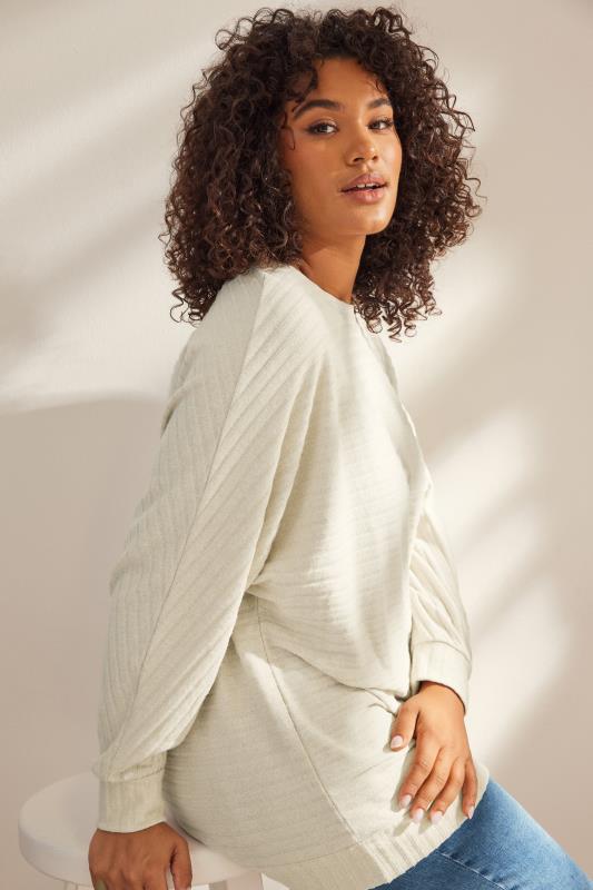 Plus Size  EVANS Curve Beige Brown Soft Touch Jumper