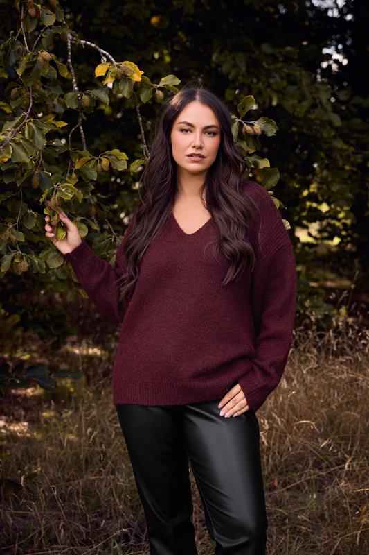 Plus Size  EVANS Curve Purple Knitted V-Neck Jumper