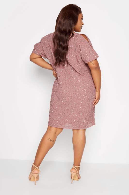 LUXE Plus Size Light Pink Sequin Hand Embellished Cape Dress | Yours Clothing 3