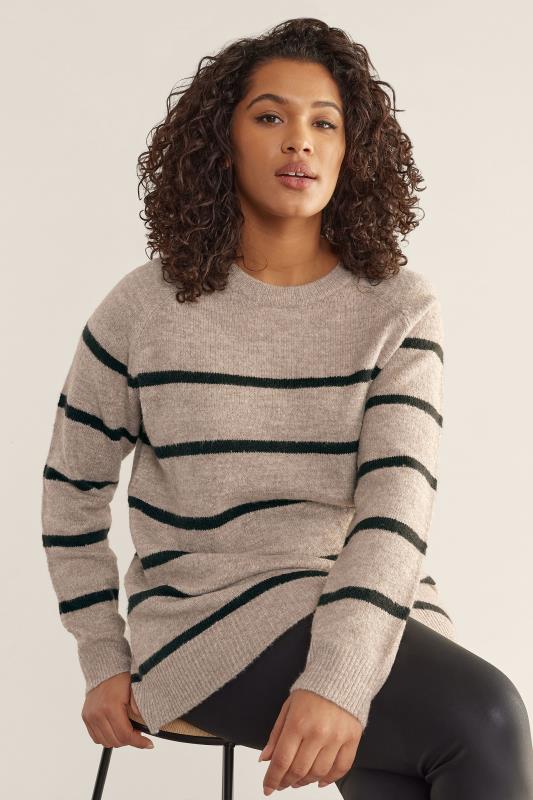 Plus Size  EVANS Curve Beige Brown Stripe Knitted Jumper