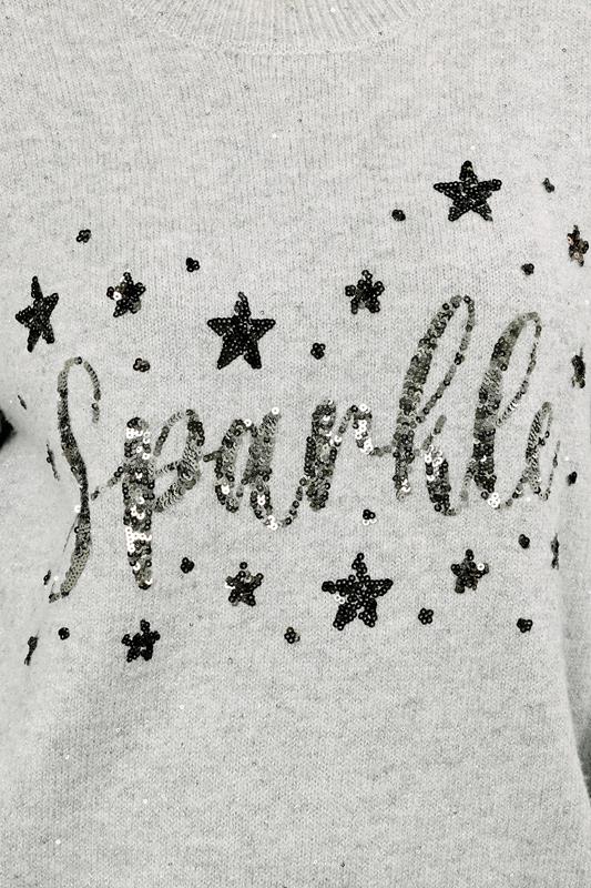 EVANS Plus Size Grey Sequin Embellished 'Sparkle' Christmas Jumper | Evans 4