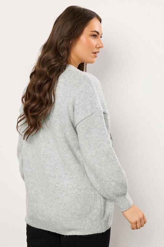 EVANS Plus Size Grey Sequin Embellished 'Sparkle' Christmas Jumper | Evans 2