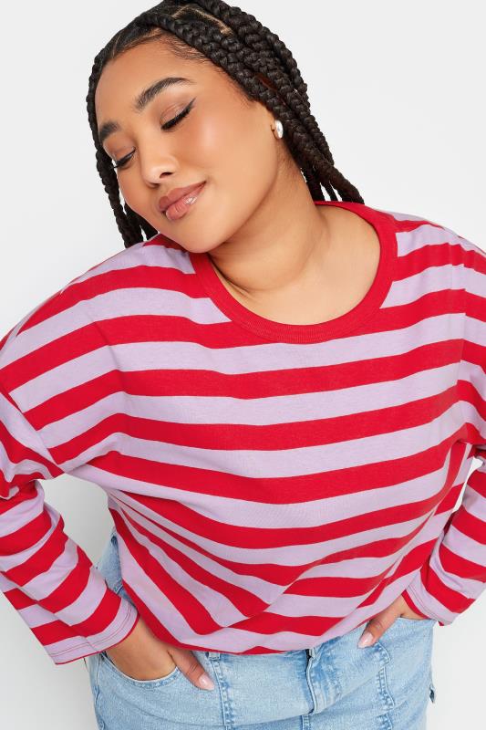 LIMITED COLLECTION Plus Size Red & Purple Stripe Top | Yours Clothing 4