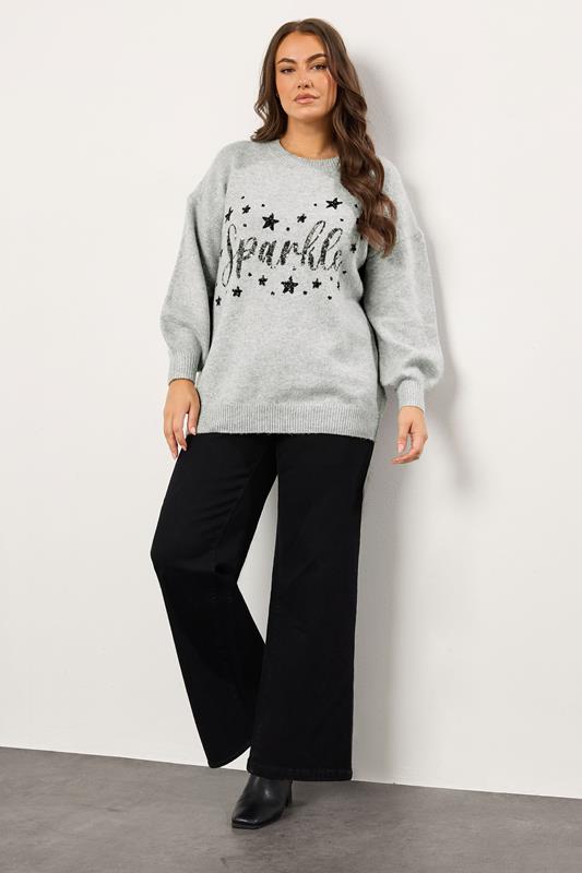 EVANS Plus Size Grey Sequin Embellished 'Sparkle' Christmas Jumper | Evans 1