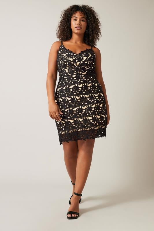 Plus Size Party Dresses Going Out Dresses Evans