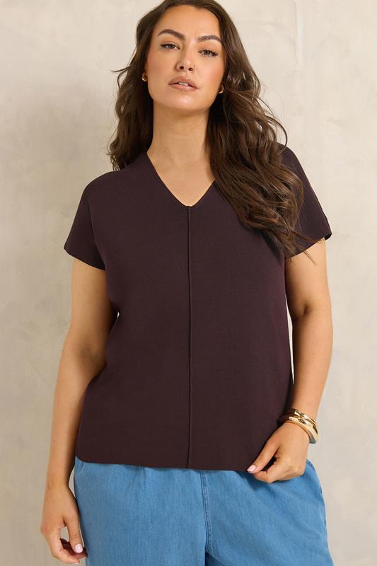  EVANS Curve Brown V-Neck Knitted Top