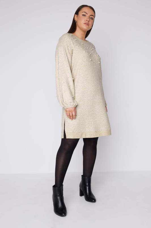 EVANS Plus Size Natural Brown Pearl Embellished Jumper Dress | Evans 1
