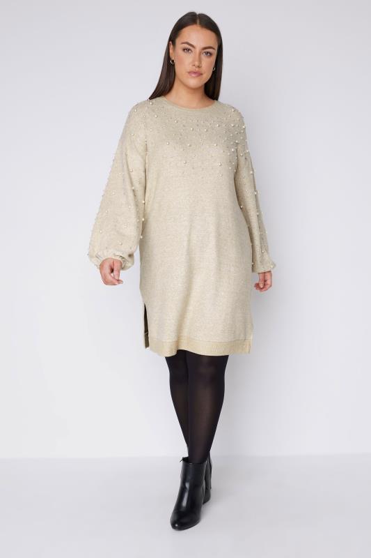 EVANS Plus Size Natural Brown Pearl Embellished Jumper Dress | Evans 2