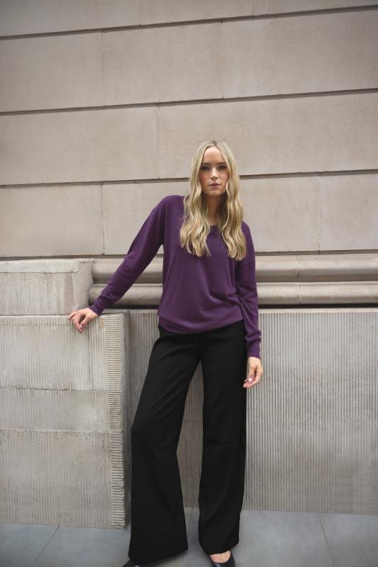 LTS Tall Purple V-neck Long Sleeve Jumper | Long Tall Sally 1