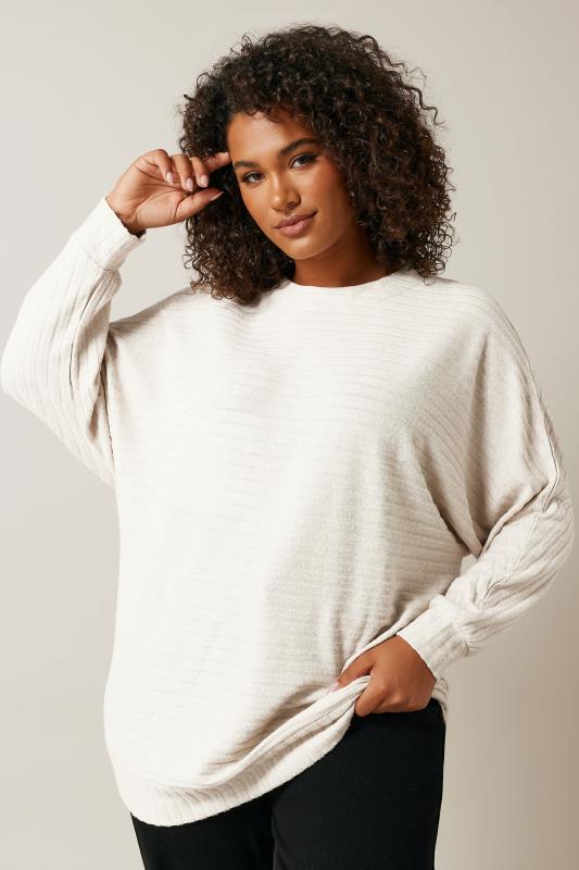 EVANS Curve Cream Ribbed Soft Touch Jumper | Evans 3