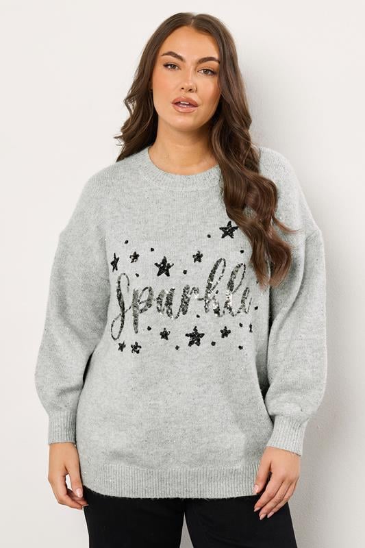 EVANS Plus Size Grey Sequin Embellished 'Sparkle' Christmas Jumper | Evans 1