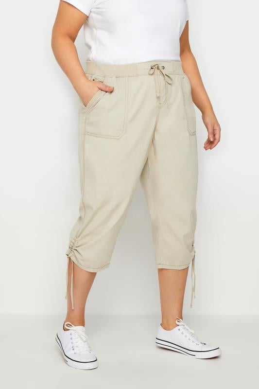 Brown Plus Size Trousers
