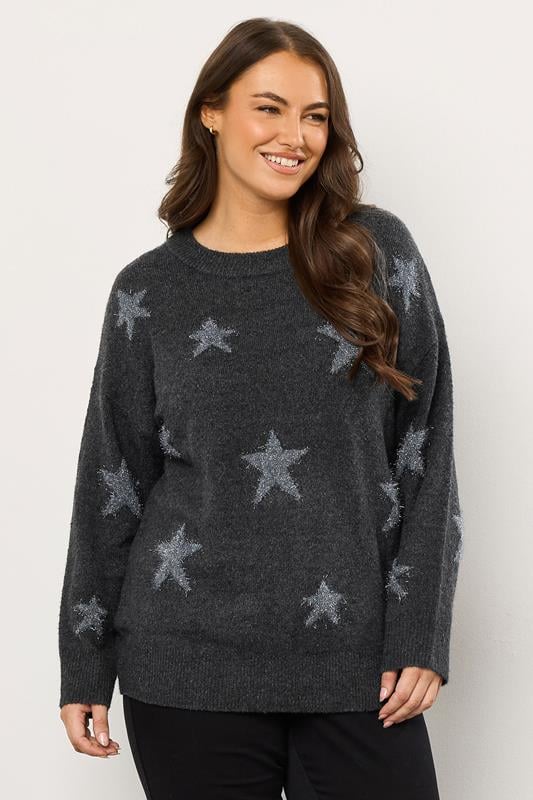 Plus Size  EVANS Curve Grey Star Tinsel Detail Jumper