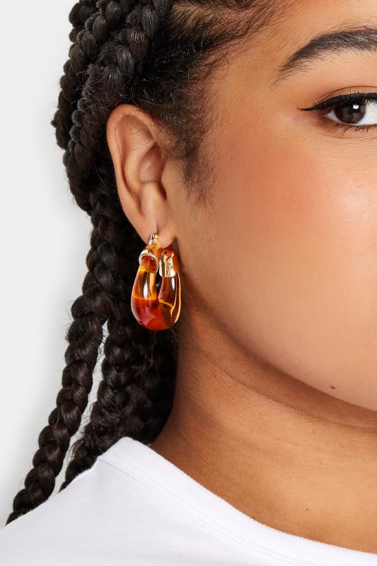 Plus Size  Yours 2 PACK Gold Tone Amber Hoop Earrings