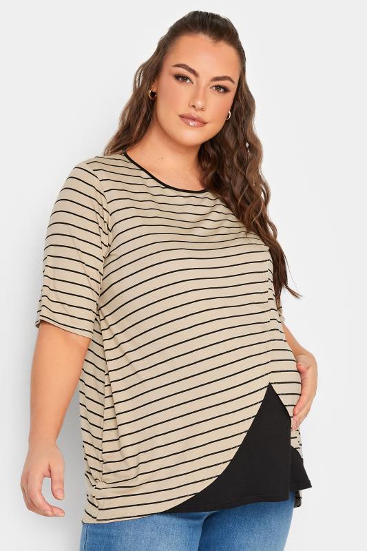 BUMP IT UP MATERNITY Curve Plus Size Beige Brown Stripe Print Nursing Top | Yours Clothing  1