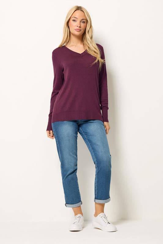 M&Co Berry Purple Long Sleeve V-Neck Jumper | M&Co 1