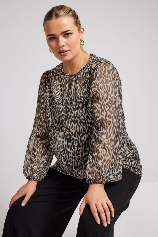 YOURS LONDON Plus Size Natural Brown Leopard Print Metallic Chiffon Blouse | Yours Clothing  2