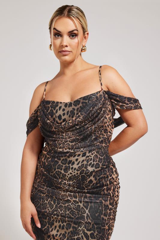 YOURS LONDON Plus Size Brown Leopard Print Cold Shoulder Dress | Yours Clothing 4