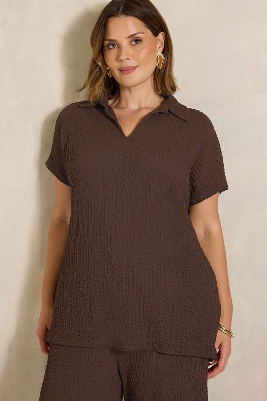  EVANS Curve Chocolate Brown Crinkle Short Sleeve Top