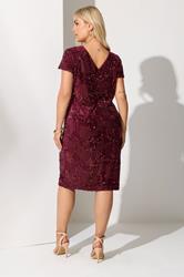 YOURS LONDON Plus Size Wine Red Velvet Sequin Shift Dress | Yours Clothing 2
