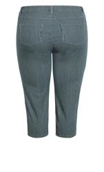 Evans Blue Stripe Print Cropped Trousers 7
