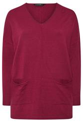 EVANS Plus Size Wine Red Seam Detail Jumper | Evans 1