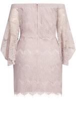 Evans Blush Pink Lace Cold Shoulder Mini Dress 4