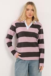 LTS Tall Women's Chocolate Brown & Pink Stripe Cotton Rugby Sweatshirt | Long Tall Sally 3