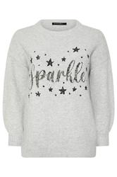 EVANS Plus Size Grey Sequin Embellished 'Sparkle' Christmas Jumper | Evans 5