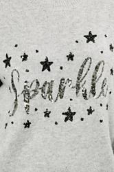 EVANS Plus Size Grey Sequin Embellished 'Sparkle' Christmas Jumper | Evans 4