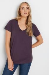 LTS Tall 2 Pack Purple & Blue V-Neck T-Shirts | Long Tall Sally 2
