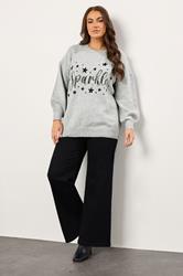 EVANS Plus Size Grey Sequin Embellished 'Sparkle' Christmas Jumper | Evans 1