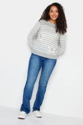 M&Co Grey Stripe Star Print Jumper | M&Co 2