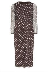 YOURS LONDON Curve Chocolate Brown Polka Dot Knot Dress