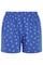 Swatch